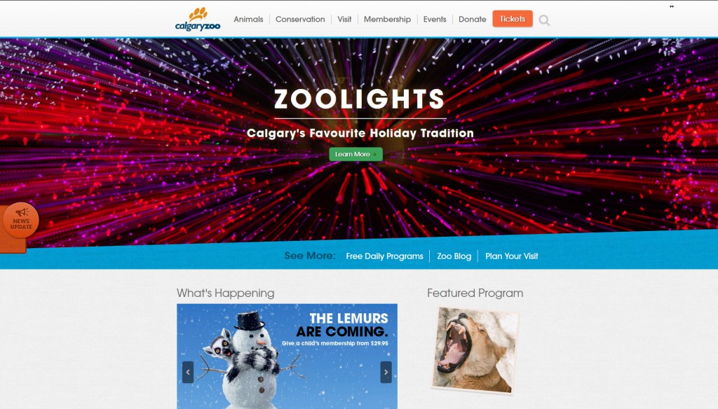 home-page-zoo-portfolio